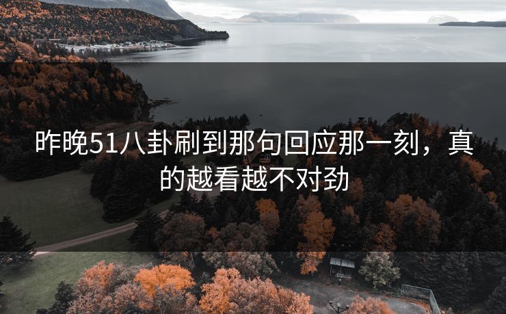昨晚51八卦刷到那句回应那一刻，真的越看越不对劲