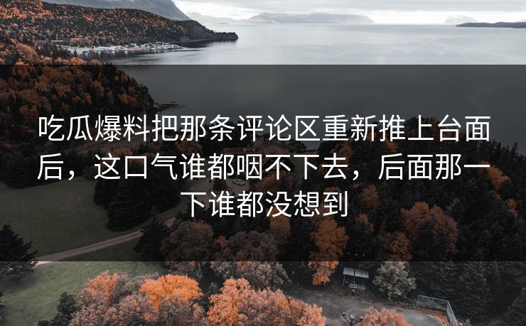 吃瓜爆料把那条评论区重新推上台面后，这口气谁都咽不下去，后面那一下谁都没想到