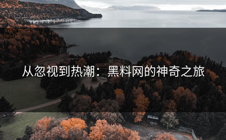 从忽视到热潮：黑料网的神奇之旅